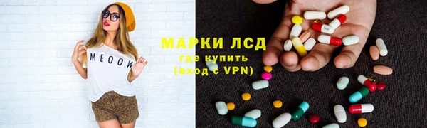 гашик Елизово