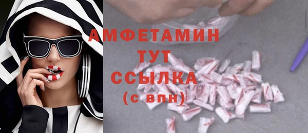 гашик Елизово