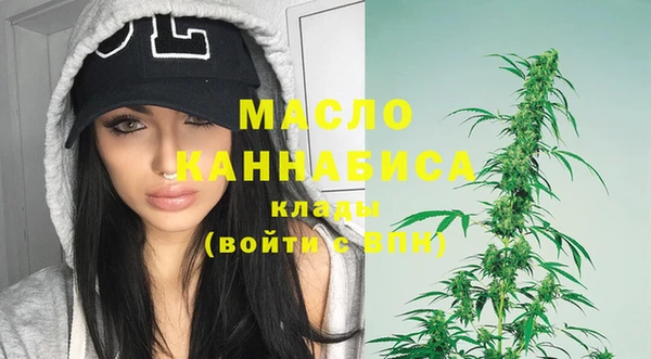гашик Елизово