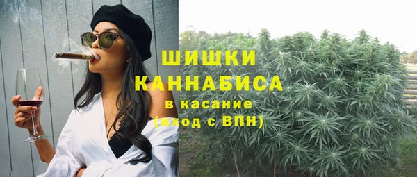гашик Елизово