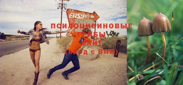 гашик Елизово
